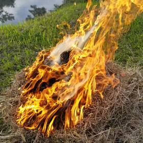 感情の解放の画像