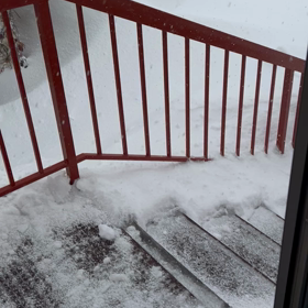 お願い雪もういらないの画像