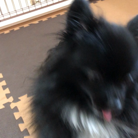 2019年5月15日  復活の画像