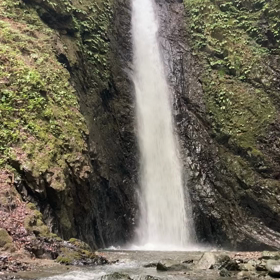 マイナスイオンをどうぞの画像