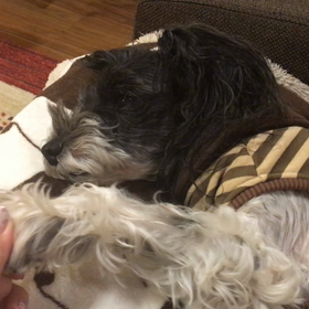 3年前の今日！の画像