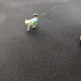 結構ショックだった事(T . T)の画像