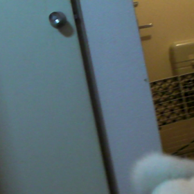 ときくんの合宿の思い出|ω･) 動画編 お外から帰ったら大喜びヾ( 〃∇〃)ﾂ ｷｬｰｰｰｯ♪の画像