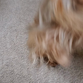 よかった！の画像