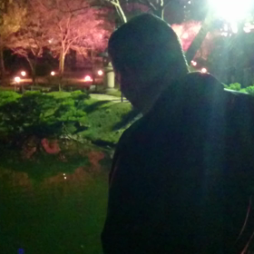 ちょっと早い夜桜～(^-^)/の画像