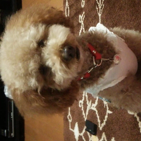 雨だから…の画像