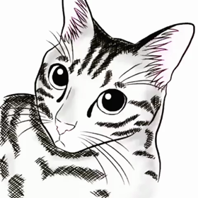 お絵描きアプリで猫のまやさんを描いてみた！の画像
