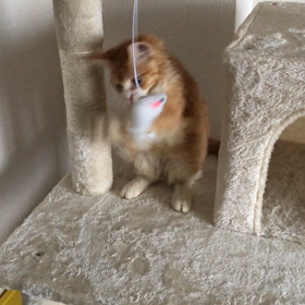 癒しだわぁ❤️の画像