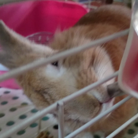 水の飲み方の画像