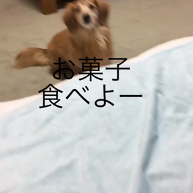 ジム、CX代行、チップとデール、郵便屋さん、娘、字幕付き動画の画像