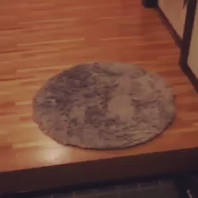 #実家のワンコ が可愛すぎる件の画像