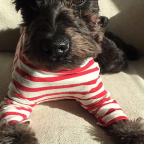 イライラするわぁの画像