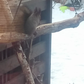 記録更新中。の画像