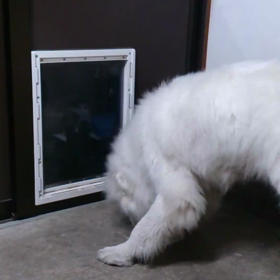 様子見に来る彼女wの画像