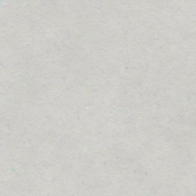 ある日の動画の画像