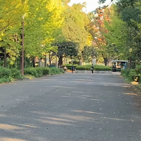 記録会 女子Cグループ③の画像