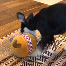 動くオモチャ！の画像