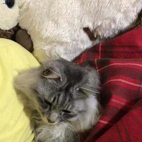 怒った顔も可愛い♡の画像