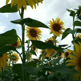 ユチョン…の画像