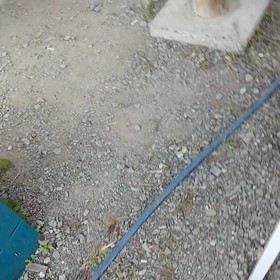 二日連続バーベキューの画像