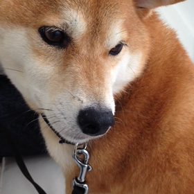 恐怖の病院の画像