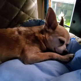 ひとりでお泊まりの画像