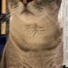 おはようございますの画像