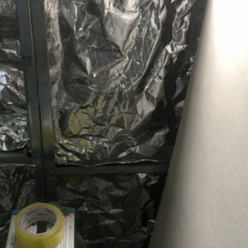 昨日の分。。の画像