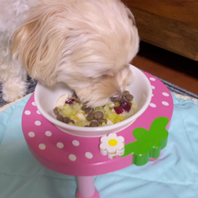 ☆咀嚼音？☆の画像