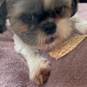 リコカツ　第5話から9話の画像