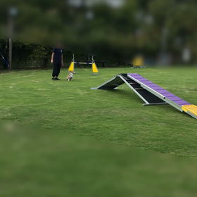 Aフレーム練習の画像