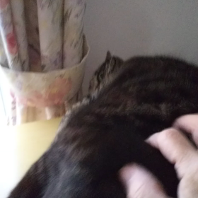 朝のルーティン2の画像