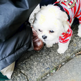 みこちゃんといっくんお久しぶりの再会の画像