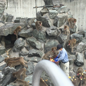 ニャンニャン日記、敬老ミステリー、バスツアー(*^_^*)⚡️‼️の画像
