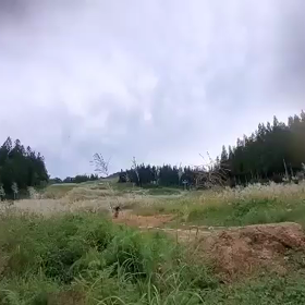 涼しくなりました！の画像