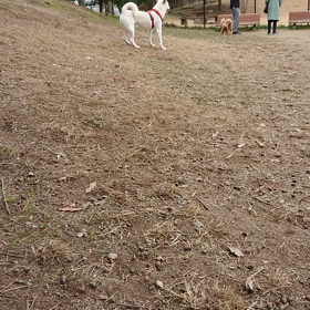 行きはよいよい、帰りは悪い。の画像