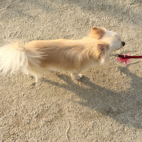 久々でーすの画像