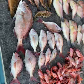 令和３年８月３日(火)　☀晴の画像