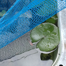 こんな時間でも…の画像