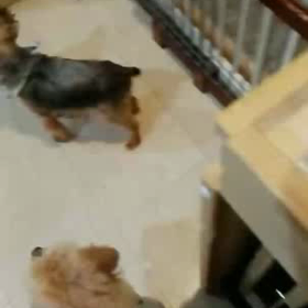 今日も皆元気(*^▽^*)の画像