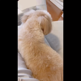 トリミングの画像