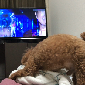 永ちゃんに興奮したの？の画像