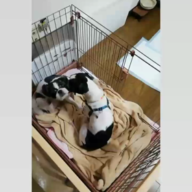 そろそろネンネの画像