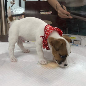 winを迎えると決めた日の画像