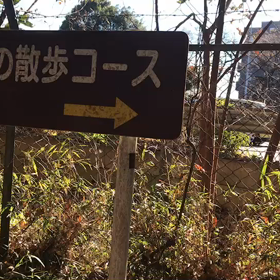 ♪お散歩動画♪砧公園♪の画像