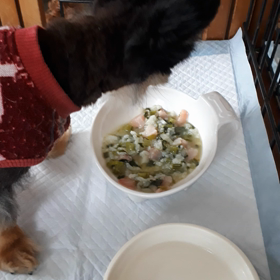 お気に入りのご飯なら…の画像