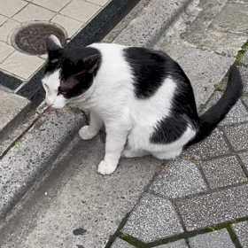 またまた〜の画像