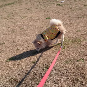 老いを感じるな…の画像