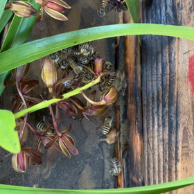 入居するか？の画像