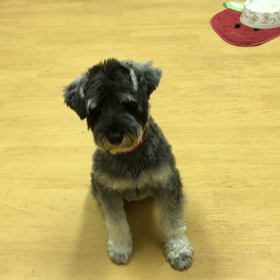 ビビはお上手なんですよ。の画像